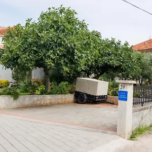 Summer Flower , Zadar Croatia